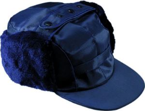 Afbeelding - mascot-7616000-seoul-jpg